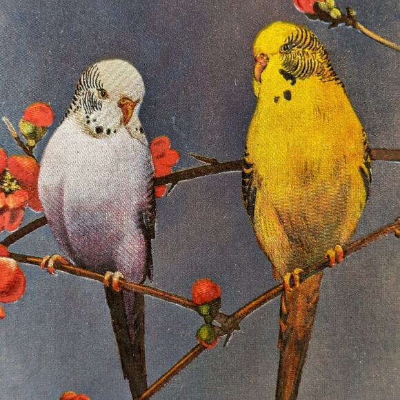 Foil Art Bird Lot Two (2) Signed F. Osborne Vintage B Parakeet Magnolias Floral2 - Picture 6 of 16